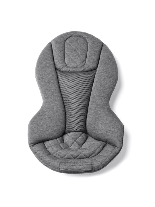 Ergobaby Evolve Bouncer Charcoal Grey