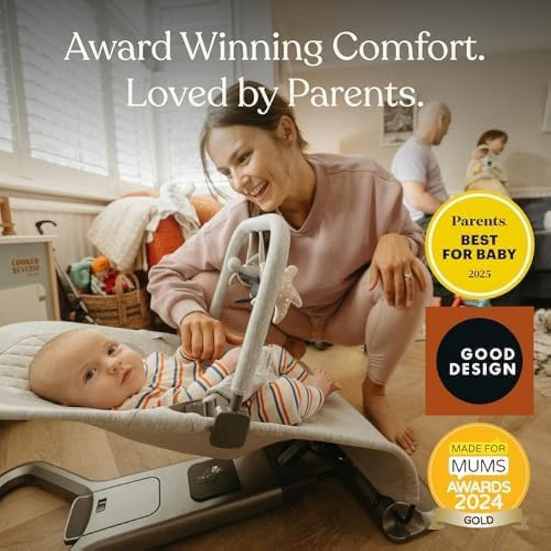 Ergobaby Evolve Bouncer Mesh Sage Green
