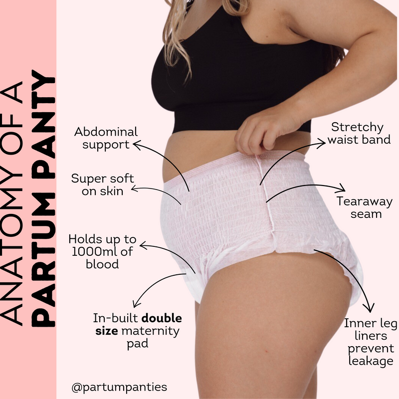 Postpartum Disposable Underwear Large Size - 12/14 - 18/ 20 (5 pc)