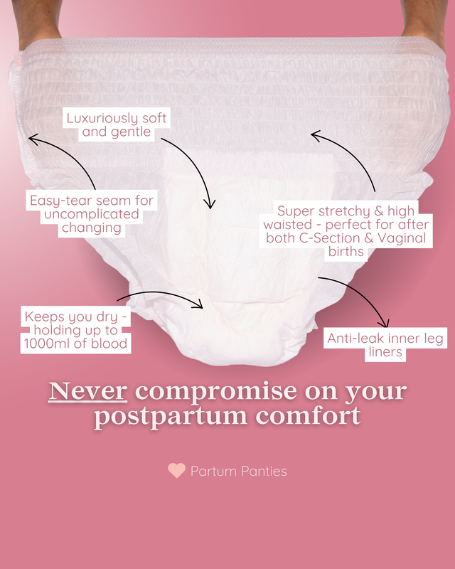 Postpartum Disposable Underwear Large Size - 12/14 - 18/ 20 (5 pc)