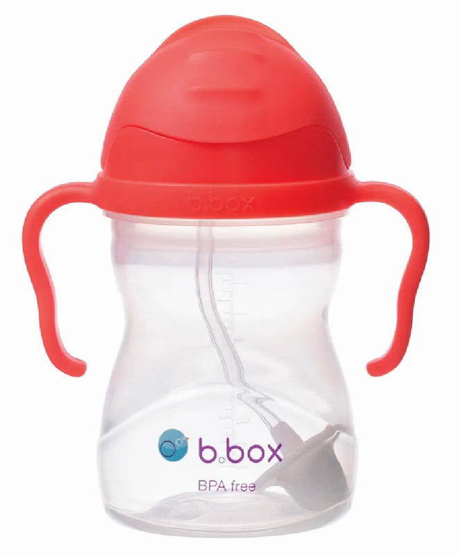 Watermelon Sippy Cup (240ml)