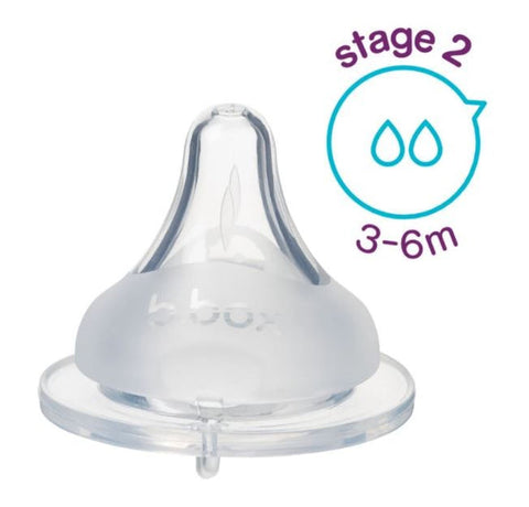 Teat Stage II - 3-6 months