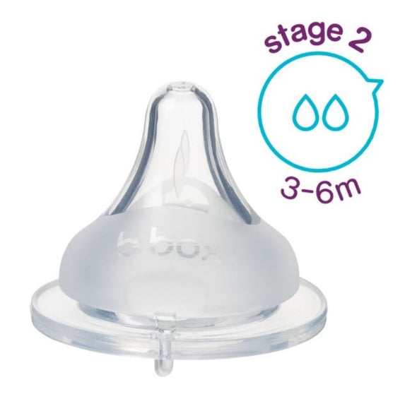 Teat Stage II - 3-6 months