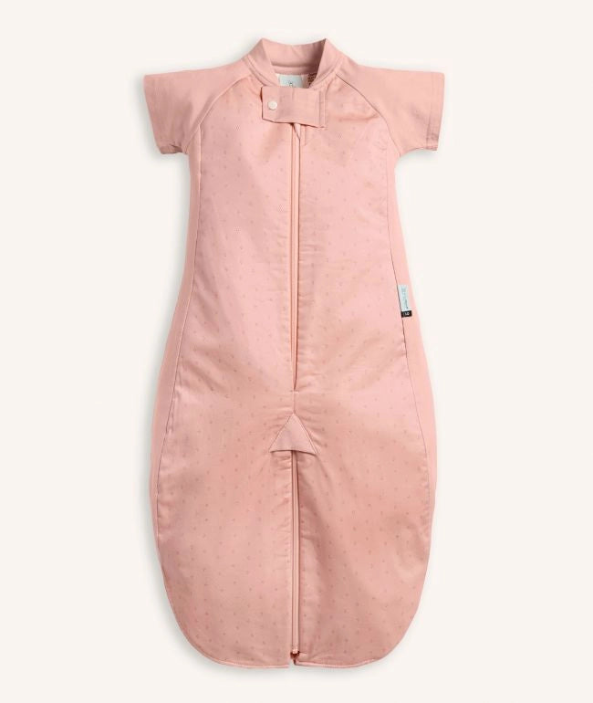 Sleep Suit Bag - Berries (8-24m)