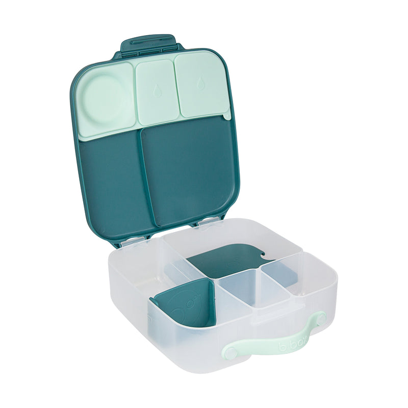 Emerald Forest Lunchbox