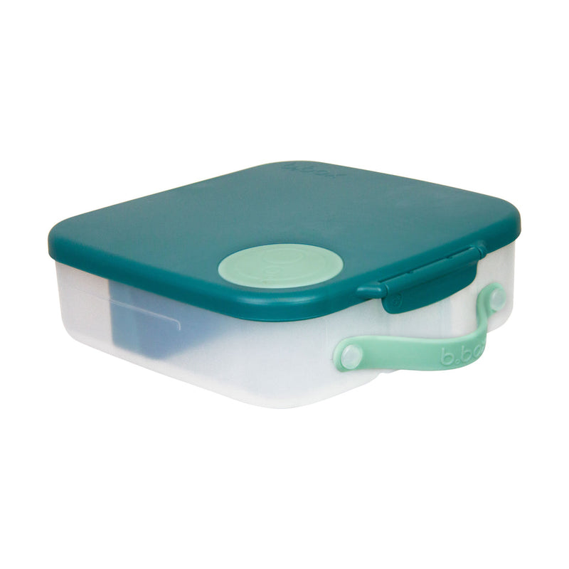 Emerald Forest Lunchbox
