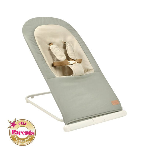 Beaba Foldable Bouncer Eazy Relax Lichen