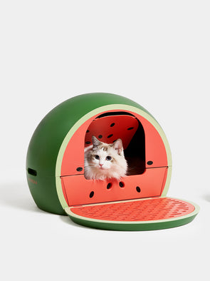صندوق "وترميلون كيتي كوف" بتصميم البطيخ لفضلات القطط