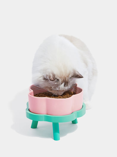 Flora Ceramic Pet Bowl - M