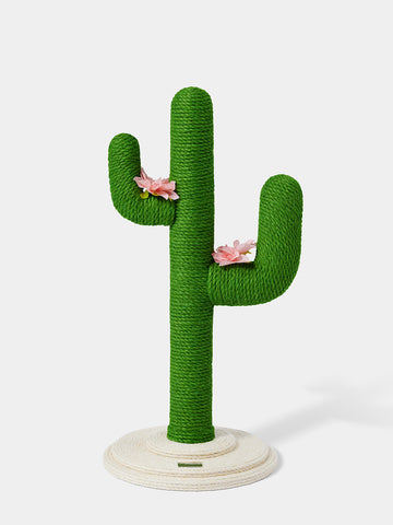 Oasis Cactus Mini Cat Tree