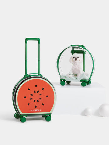 Bubble Pet Carrier (Green Color Block)
