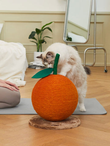 Tangerine Cat Scratching Ball