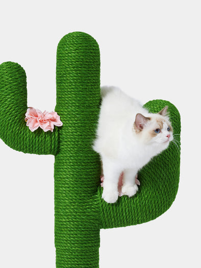 Oasis Cactus Cat Tree