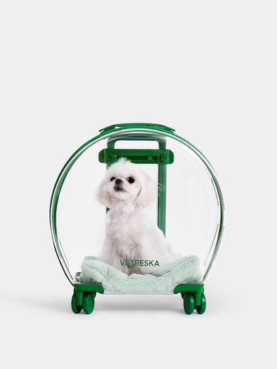 Bubble Pet Carrier (Green & Transparent)