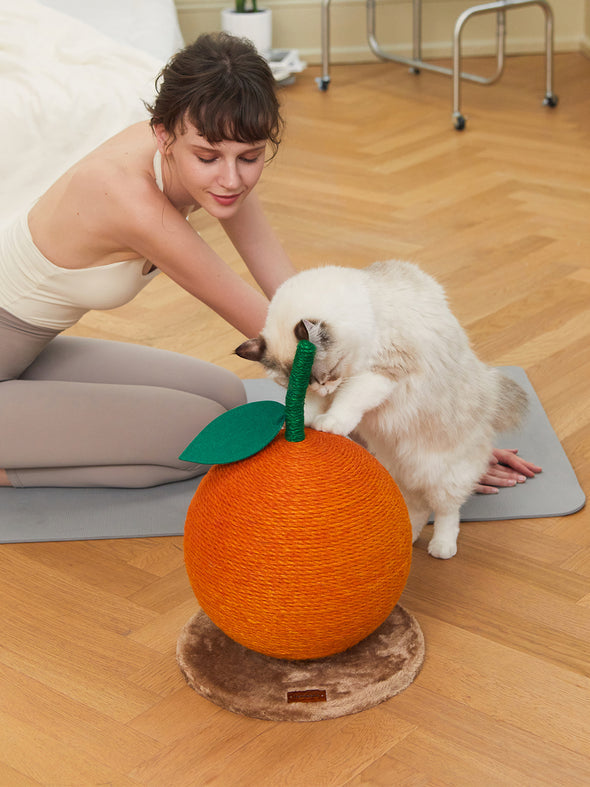 Tangerine Cat Scratching Ball