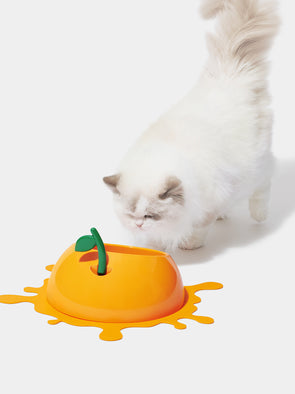 Juicy Tangerine Pet Bowl, Spoon & Mat Set