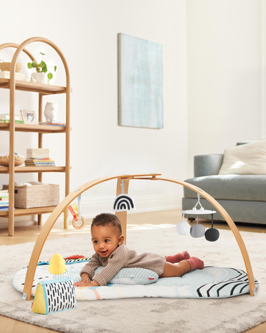 Skip Hop Discoverosity Play Gym