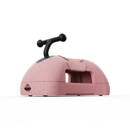 Scoot & Ride My First - Rose