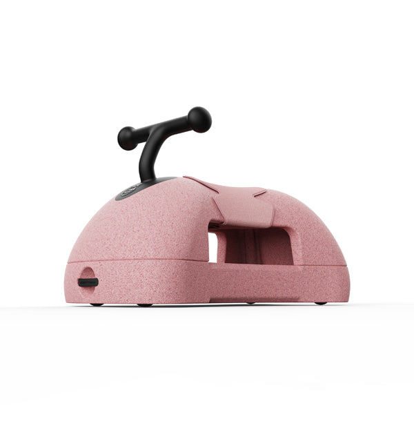 Scoot & Ride My First - Rose