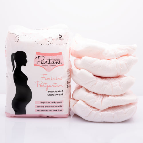 Postpartum Disposable Underwear Large Size - 12/14 - 18/ 20 (5 pc)