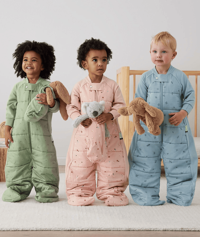 Sleep Suit Sack 1.0 TOG Dragonflies(2-4YEARS)