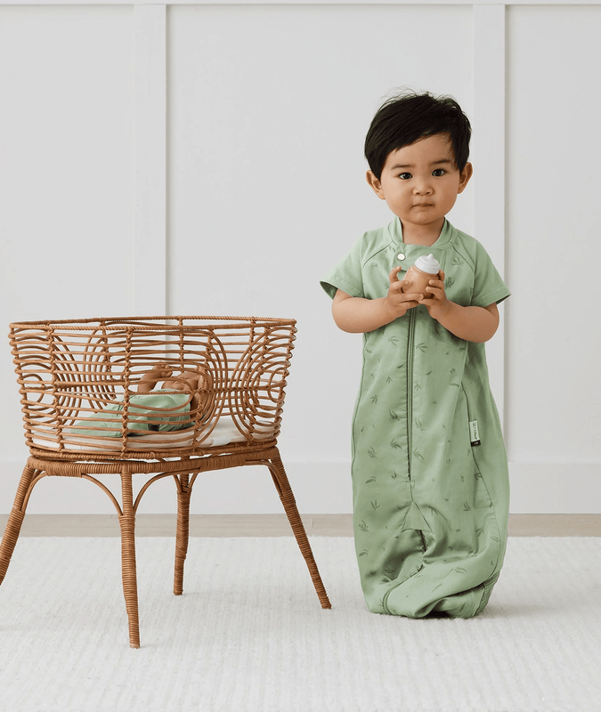 Sleep Suit Sack 1.0 TOG Willow(2-4YEARS)