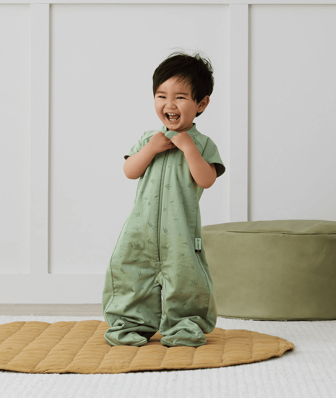 Sleep Suit Sack 1.0 TOG Willow(2-4YEARS)