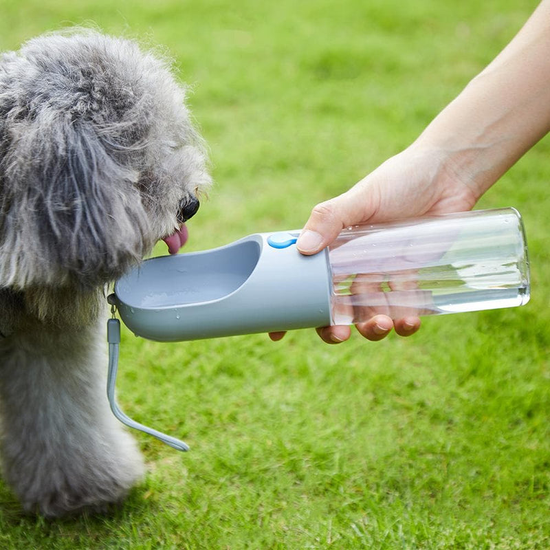 Woman giving water to her cute dog in the Water Bottle - White