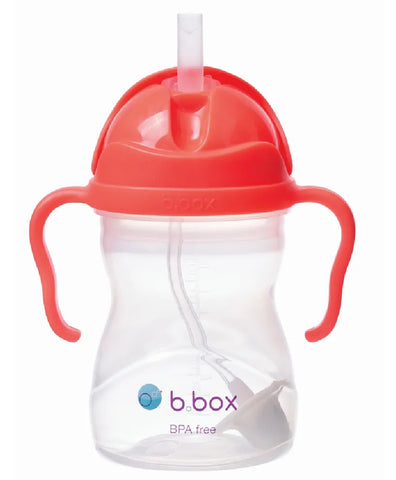 Watermelon Sippy Cup (240ml)