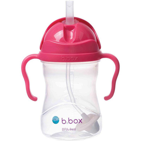 Raspberry Sippy Cup (240ml)