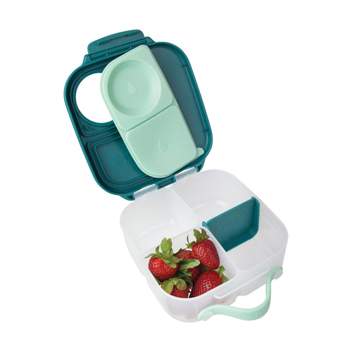 Emerald Forest Lunchbox
