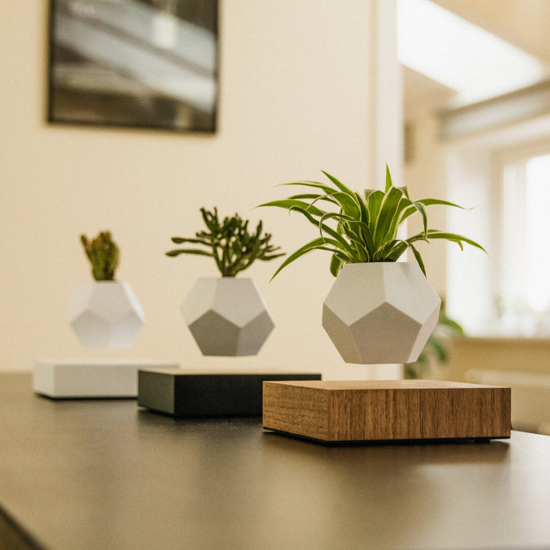 3 Innovative  Lyfe Planters rotating in air on a table.