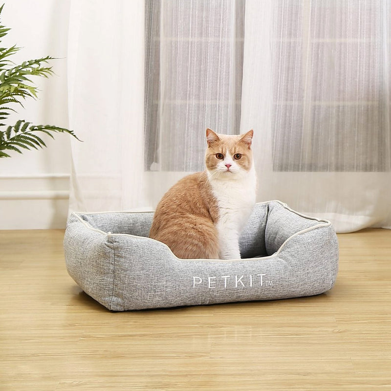 A cute Cat sitting in the Cooling Bed - Petkit  in a living room