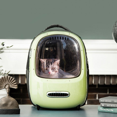 Adorable cat in a PetKit Smart Cat Carrier - Green